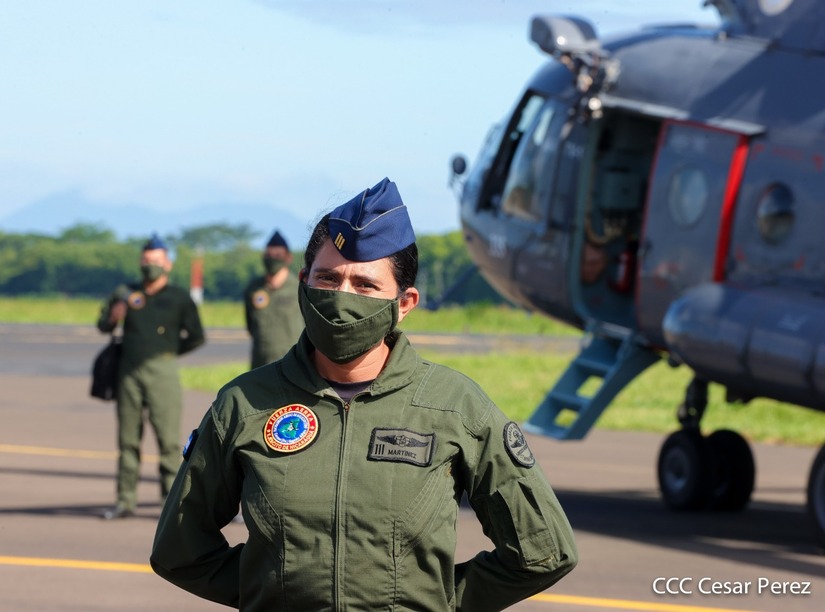 aerea